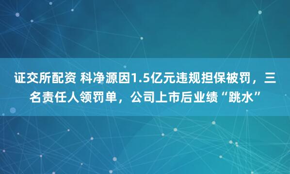 证交所配资 科净源因1.5亿元违规担保被罚，三名责任人领罚单，公司上市后业绩“跳水”